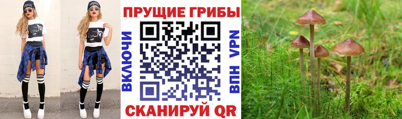 Галлюциногенные грибы ЛСД Орехово-Зуево