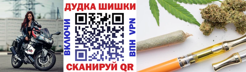 Бошки марихуана сатива  shop официальный сайт  Орехово-Зуево  цены наркотик 